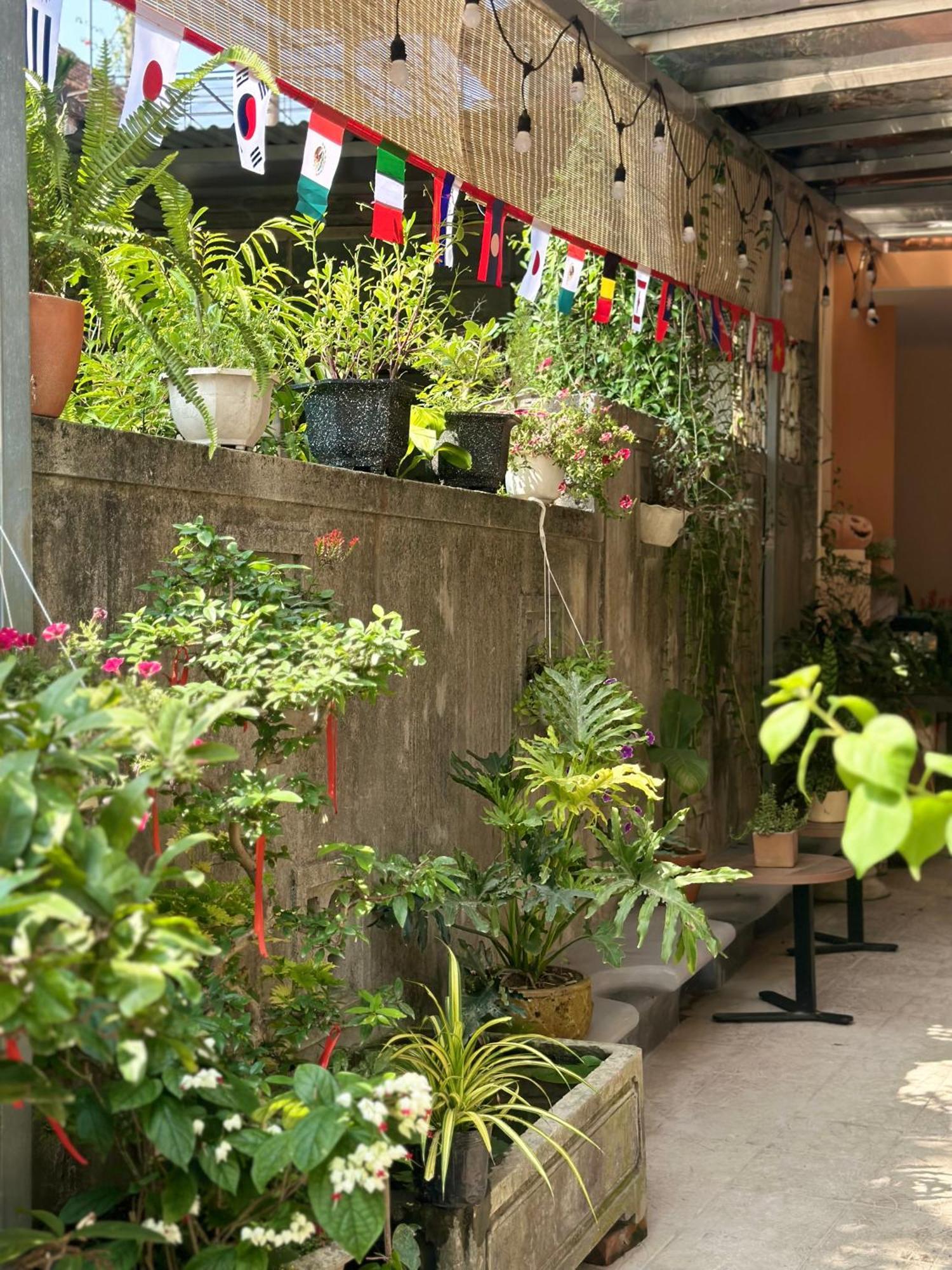 Chi'S Homestay & Coffee Hue Exteriör bild
